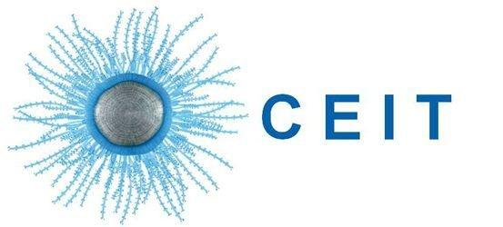 Logo CEIT ridotto